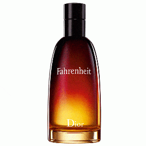 Christian Dior - Fahrenheit eau de toilette spray 100 ml