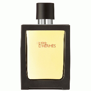 Terre d'Hermes eau de toilette travel spray 30 ml (navulbaar)