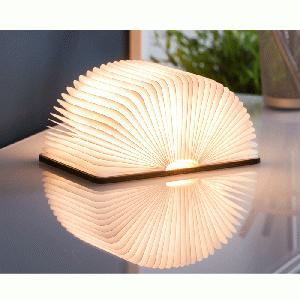 Gingko Mini Smart Book Light Maple