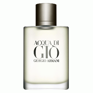 Acqua di Gio homme eau de toilette spray 200 ml