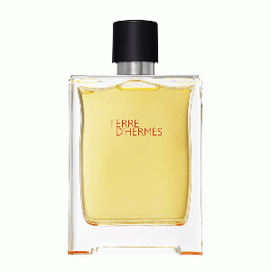 Terre d'Hermes eau de toilette spray 100 ml