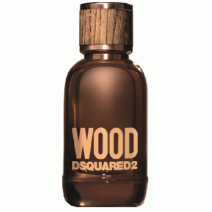 Dsquared2 - Wood pour homme eau de toilette spray 100 ml (heren)