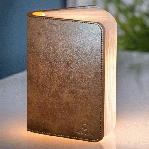 Gingko Mini Smart Book Light Brown Leather