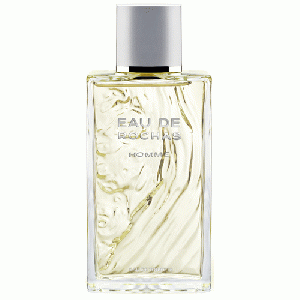 Eau de Rochas Homme eau de toilette spray 100 ml (heren)