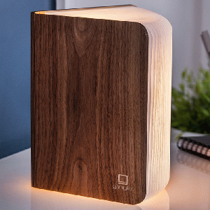 Gingko Large Smart Book Light Walnut