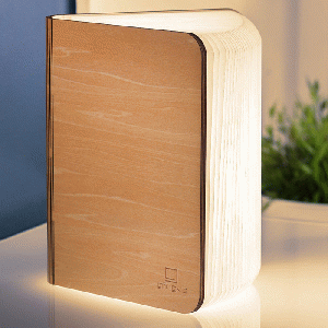 Gingko Large Smart Book Light Maple