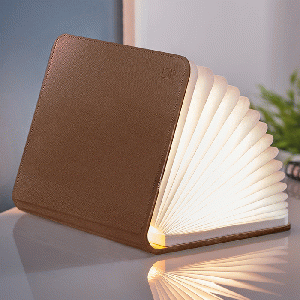 Gingko Large Smart Book Light Brown Leather