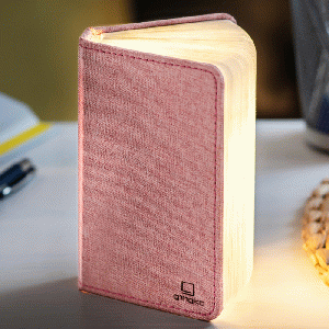 Gingko Mini Smart Book Light Linen Fabric Blush Pink