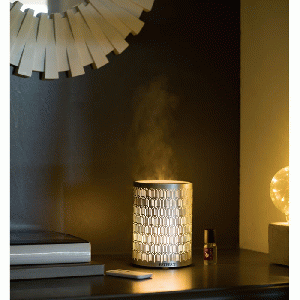 Esteban Mist Diffuser Silver & Light Edition