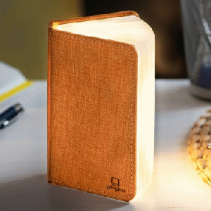 Gingko Mini Smart Book Light Linen Fabric Harmony Orange