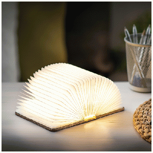 Gingko Mini Smart Book Light Linen Fabric Coffee Brown