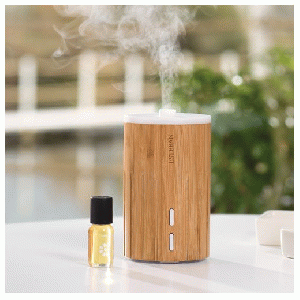 Esteban Mist Diffuser Wood & Light Edition