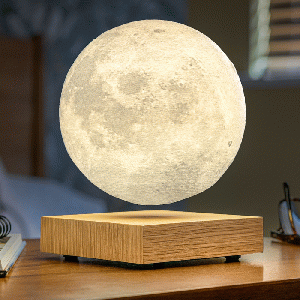 Gingko - Smart Moon Lamp White Ash