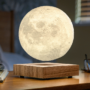 Gingko - Smart Moon Lamp Walnut