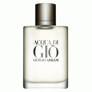 Acqua di Gio homme eau de toilette spray 30 ml (heren)