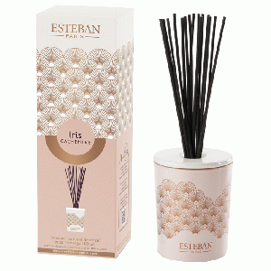 Esteban Classic Iris Cachemire Geurdiffuser Deco 100 ml