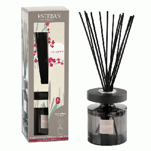 Esteban Classic Esprit de Thé Geurdiffuser Ellipse 150 ml