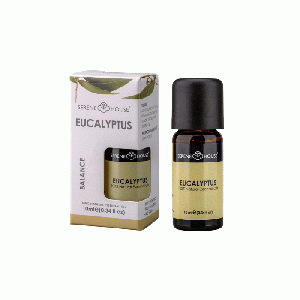 Serene House Essentiële Geurolie Eucalyptus 10 ml