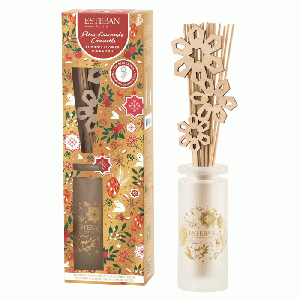 Esteban Almond Flower Cinnamon Geurdiffuser 100 ml