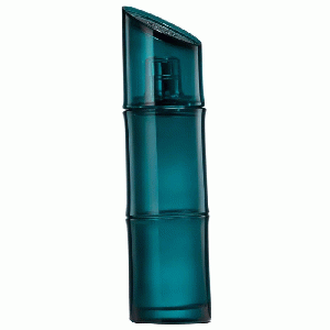 Kenzo homme eau de toilette spray 110 ml