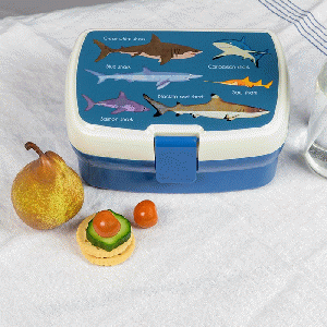 Sharks lunchbox