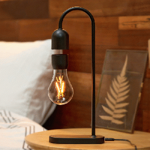 Gingko - Evaro Lightbulb Lamp Black