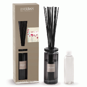 Esteban Classic Esprit de Thé Geurdiffuser Initial 75 ml