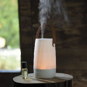 Esteban Mist Diffuser Little Latern