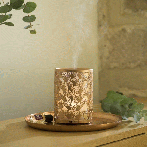 Esteban Mist Diffuser Copper & Light Edition