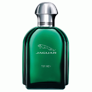 Jaguar for Men eau de toilette spray 100 ml