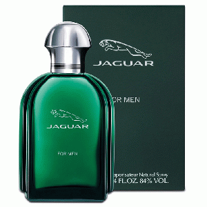 Jaguar for Men eau de toilette spray 100 ml