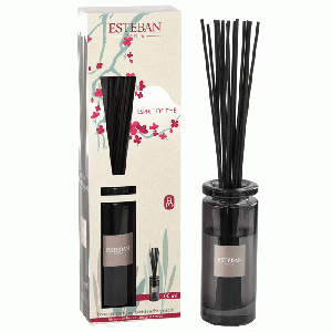 Esteban Classic Esprit de Thé Geurdiffuser Initial 100 ml