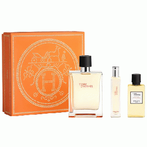 Terre d'Hermes eau de toilette 100 ml + 15 ml geschenkset