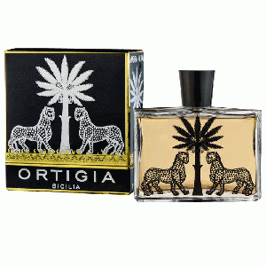 Ambra Nera eau de parfum spray 100 ml