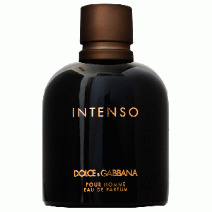 Dolce & Gabbana pour homme Intenso eau de parfum spray 125 ml