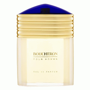 Boucheron pour homme eau de parfum spray 100 ml (heren)